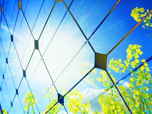 Sun reflecting on solar cells